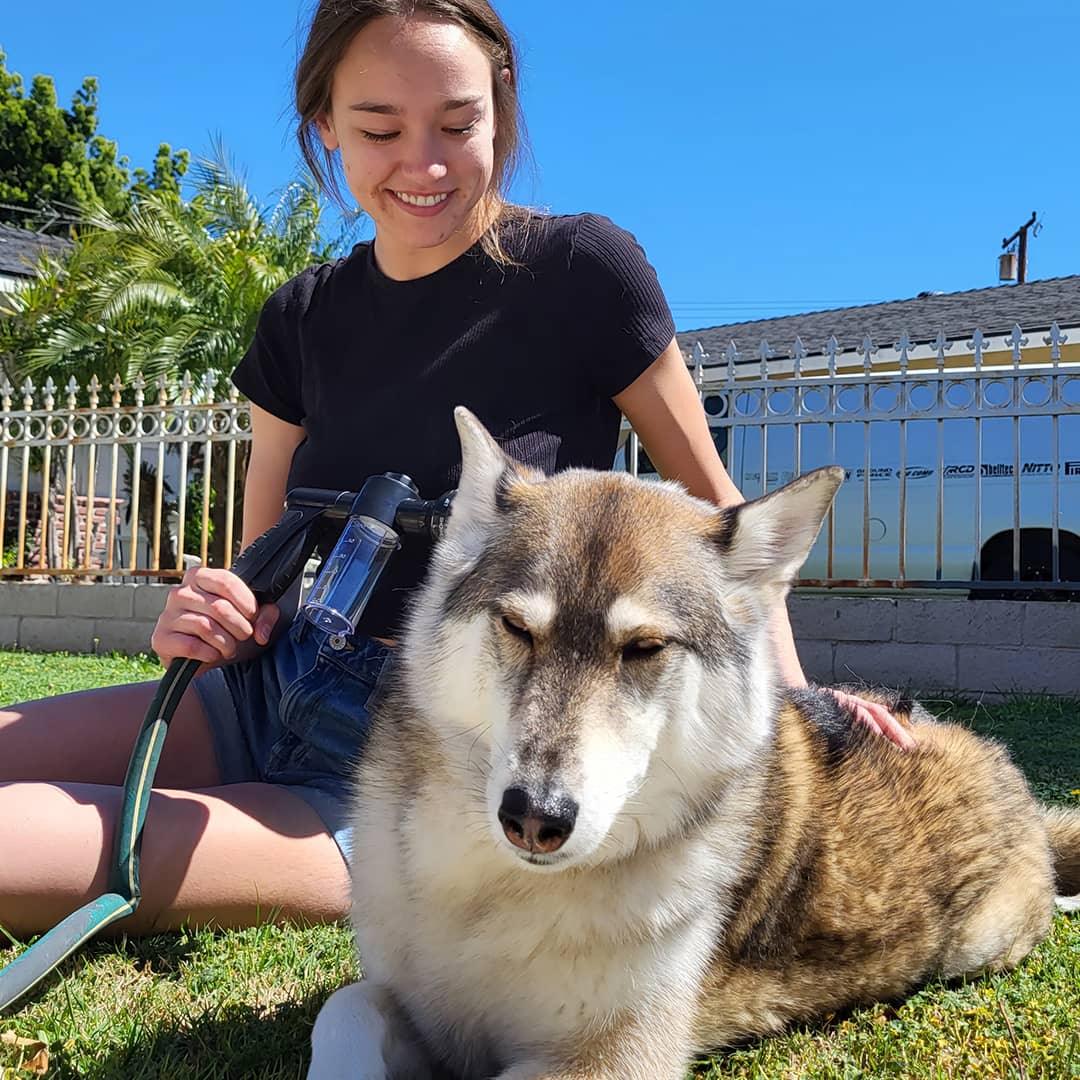 Pulverizador de Espuma Alta Pressão para Banho Pet - 8 Jatos
