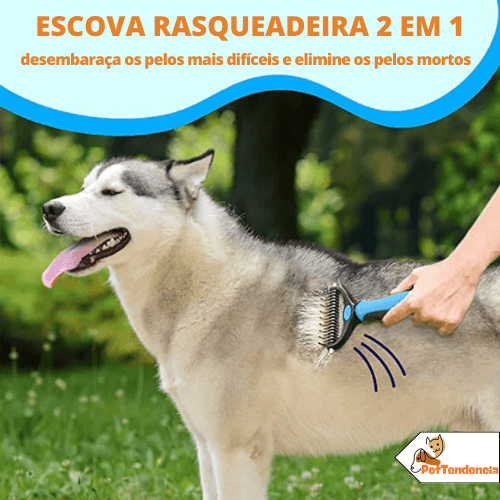 Escova Rasqueadeira Profissional para Cães e Gatos | Pet Desh