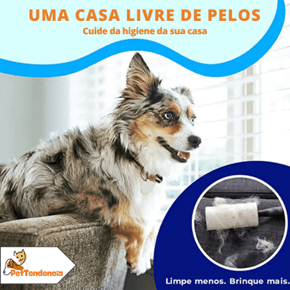 Escova Rasqueadeira Profissional para Cães e Gatos | Pet Desh