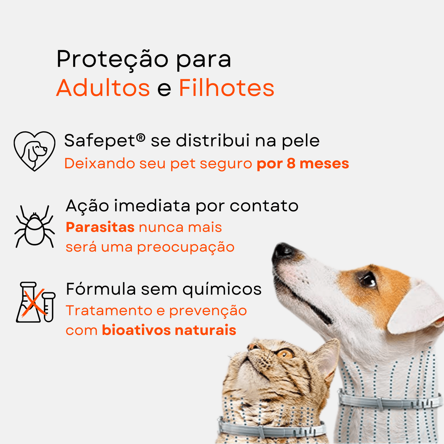 Coleira de Proteção SafePet | Bem-Estar e Higiene por 8 Meses