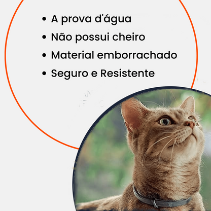 Coleira de Proteção SafePet | Bem-Estar e Higiene por 8 Meses