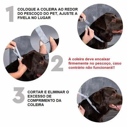Coleira de Proteção SafePet | Bem-Estar e Higiene por 8 Meses